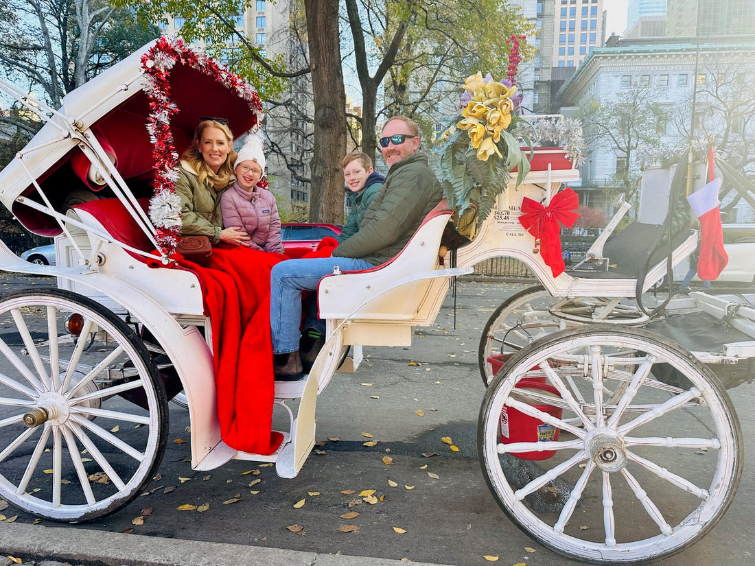 Emily's Itinerary: Christmas in New York