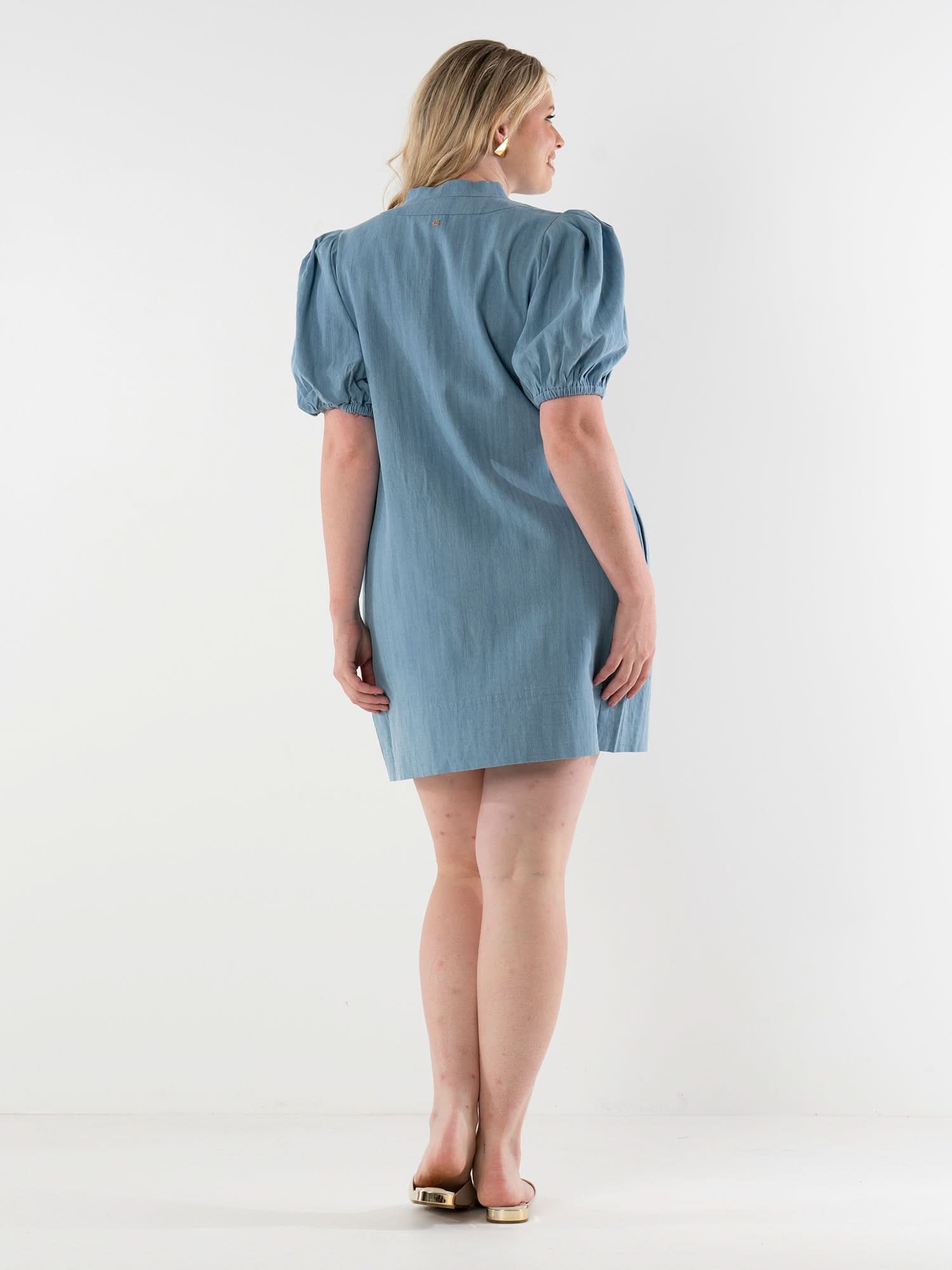 chambray mini dress Hampton Mini Dress