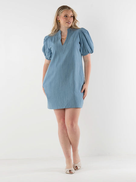 Hampton Mini in Denim Chambray – Emily McCarthy