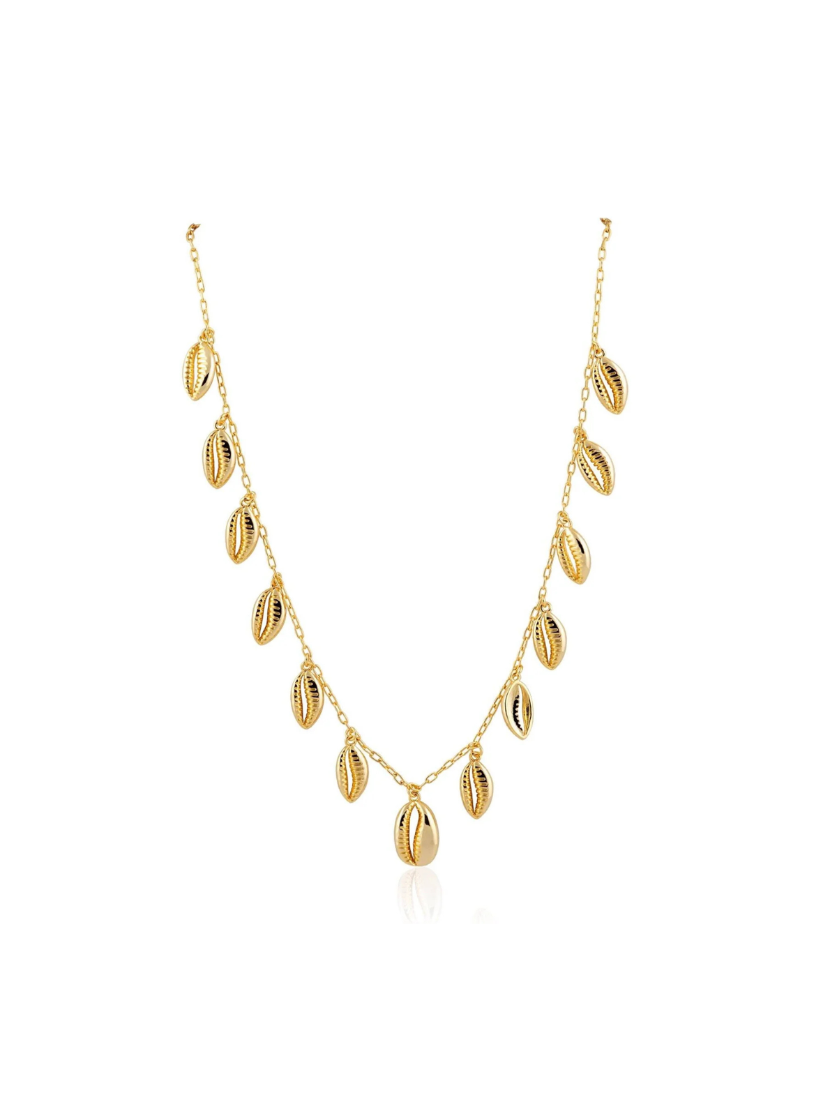 Multi Shell Necklace