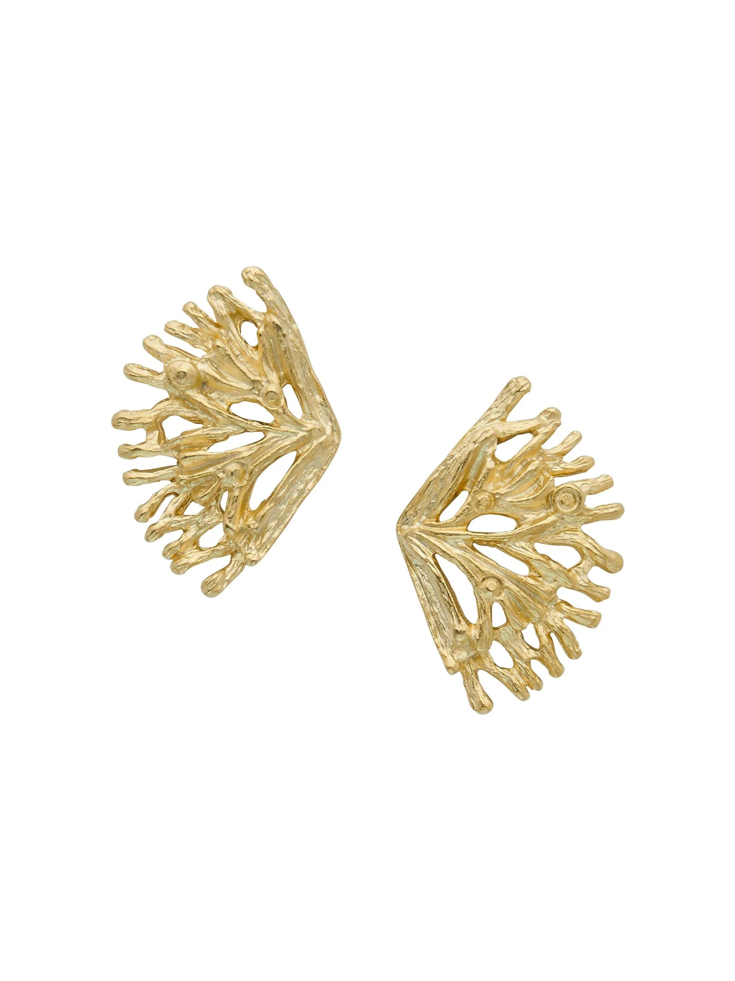 Coral Fan Stud Earrings