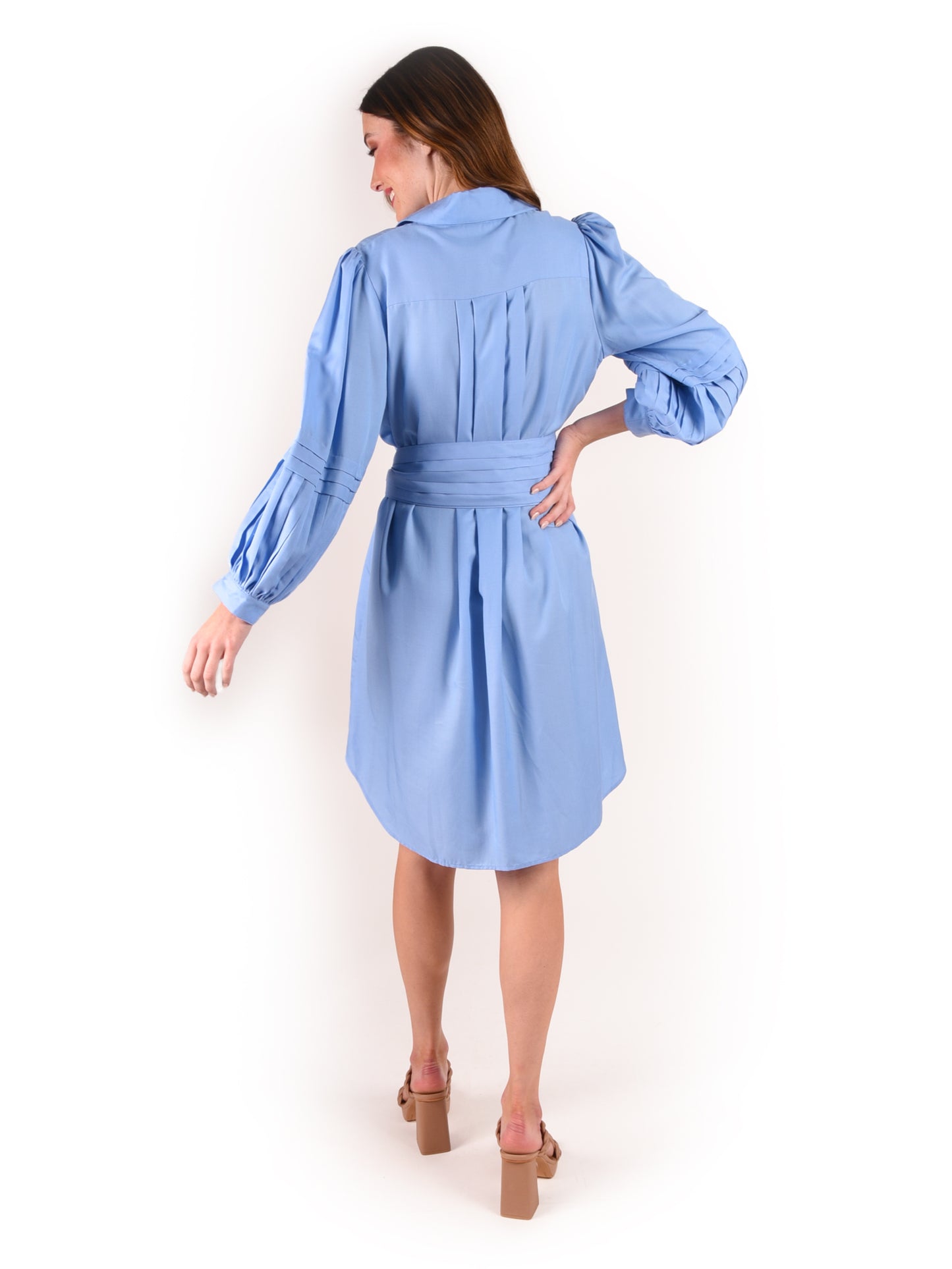 Oxford Dress - Della Robia Blue